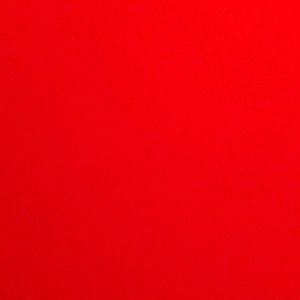 Meet your Posher, Joey